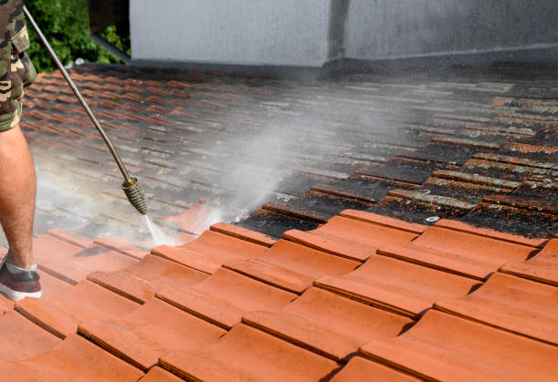 Reliable Delmar, DE Pressure Washing Solutions