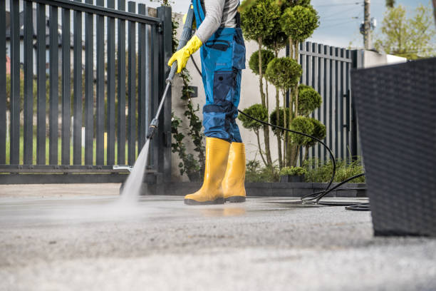 Best Residential Pressure Washing Services  in Lmar, DE