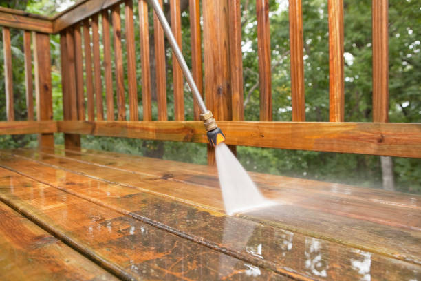 Best Roof Power Washing Services  in Lmar, DE